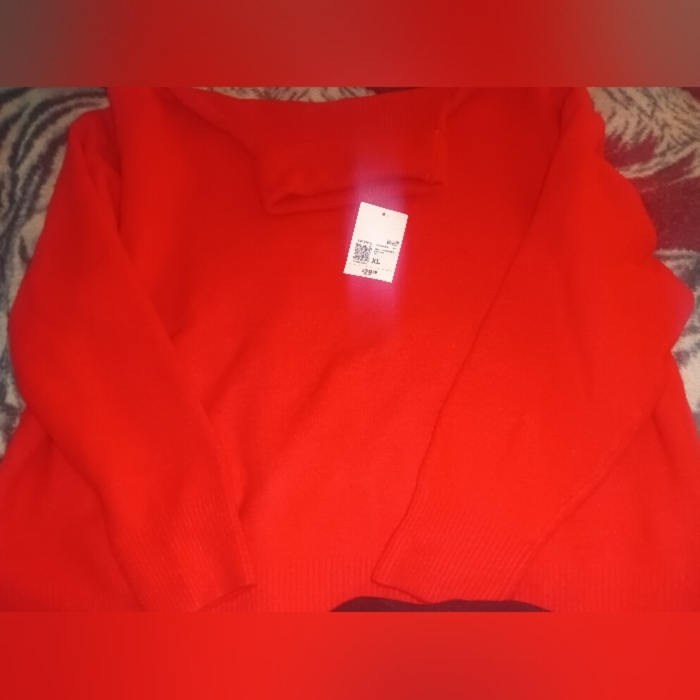 Nwt Forever 21 turtle neck sweater.